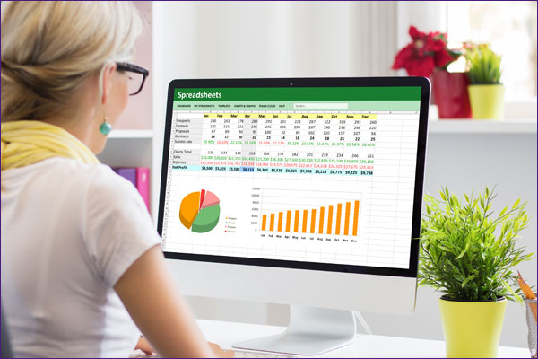 Finance Team member working with spreadsheets.